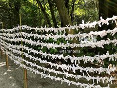 -热田神宫