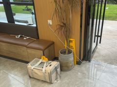 -半岛宠物医院24小时·内窥镜·牙科·碎石中心(府城大道店)