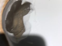 -花样西贡·蜜越餐厅·法式越南料理(水晶城店)