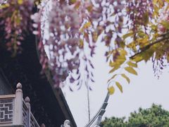 -龙华寺
