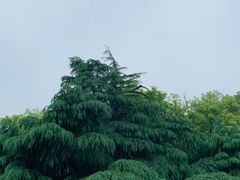 -食膳公园包子铺(烈士公园店)