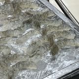 虾生初体验❣️