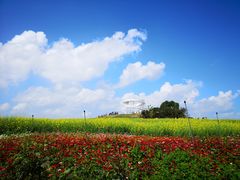 -光明小镇欢乐田园