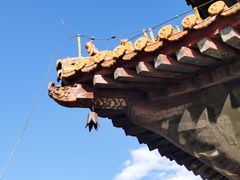 -北陵公园