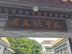 -周大娘牛乳(旧寨古村总店)