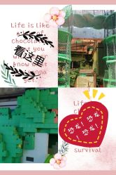 -恐龙探索乐园(磁器口店)