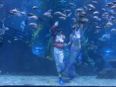 -南昌海洋公园