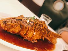 老济南糖醋鲤鱼-金春禧(世茂国际广场店)