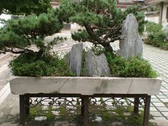 景点-郑和公园