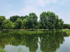 -东郊湿地公园