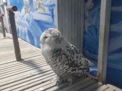 -成都浩海立方海洋公园