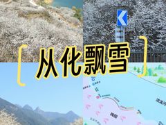 -广州市流溪河国家森林公园