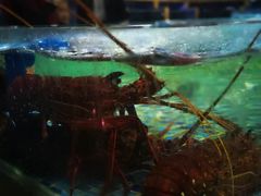-青石桥市场北1-27号