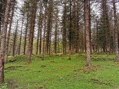 -硗碛藏寨·神木垒景区