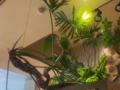 -Love Story爱情故事·养生SPA会所(新侨店)