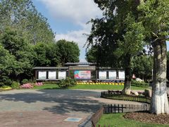 -合肥滨湖国家森林公园