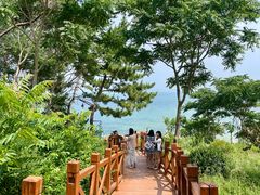 -养马岛旅游度假区