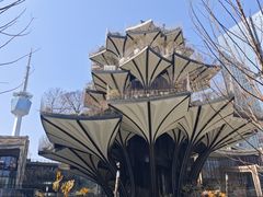 -陕西自然博物馆