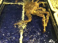 -苏大嘴海鲜牧场(奥林匹克店)