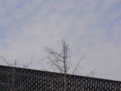 -知美术馆
