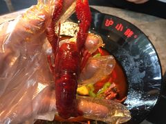 -沪小胖小龙虾(淮海中路旗舰店)