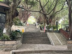 -胡里山炮台