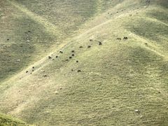 -新疆那拉提国家旅游度假区
