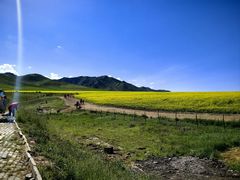 -扁都口生态休闲旅游区