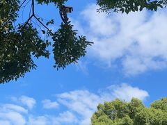 -上海虹桥迎宾馆