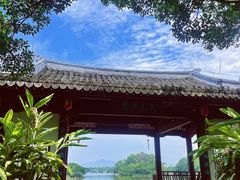 -江心屿景区