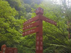 -赤水丹霞旅游区·佛光岩