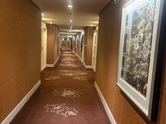 -拉斯维加斯永利酒店