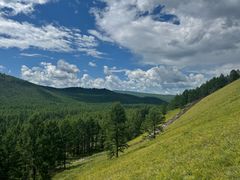 -莫尔道嘎国家森林公园