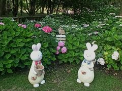 -上海共青森林公园