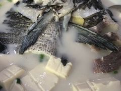 -全乐鱼馆·淳牌有机鱼直营店