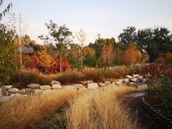 -维纳斯专业减肥