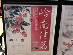 -茶颜悦色(岳麓山顶店)