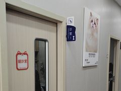 -爱佳宠物中心医院24H·CT·骨外科·猫专科(瑶海万达店)