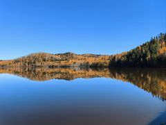 -五营红松林海景区