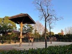-上海野生动物园