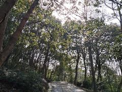 -平湖九龙山旅游度假区