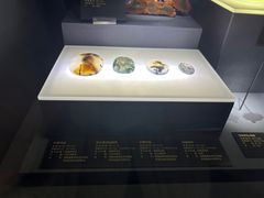 -湖南省地质博物馆