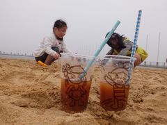 -碧海金沙