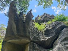 -梭布垭石林景区