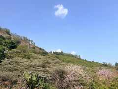 -小南山公园