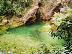 -南海湾森林生态园