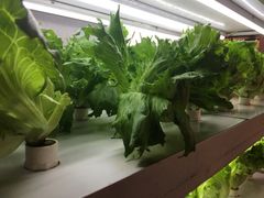 -盒马鲜生(大成店)