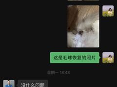 -伟伟宠物医院·CT影像中心·瑞派犬猫综合性门诊(汉口总院)