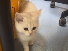 -瑞鹏宠物医院·爱宠堂·骨外专科(西荷分院)