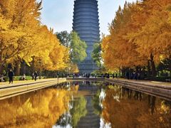 -玲珑塔公园